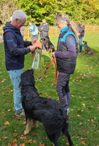 WhatsApp Bild 2025-10-26 um 00.00.56_38981972