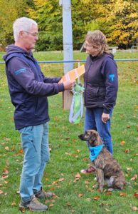 WhatsApp Bild 2025-10-26 um 00.04.16_87317426