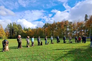 WhatsApp Bild 2025-10-26 um 20.58.13_aad255ac